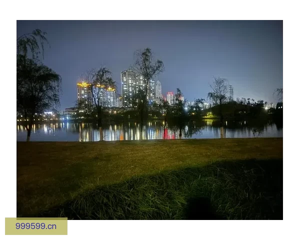 沉醉夜色，点亮心动：一个属于你的视觉盛宴